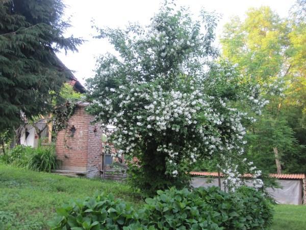 Il Mulino Di Geminella Apartment Narzole Екстериор снимка